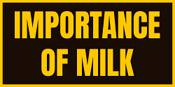 Milk, why's it important?