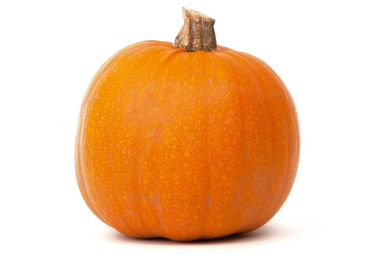 pumpkin